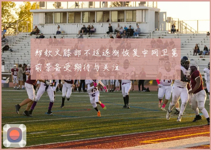 郑钦文膝部不适逐渐恢复中网卫冕前景备受期待与关注