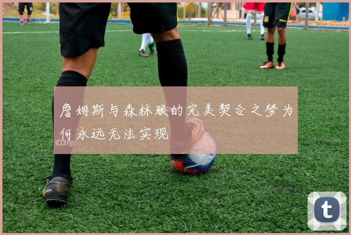 詹姆斯与森林狼的完美契合之梦为何永远无法实现